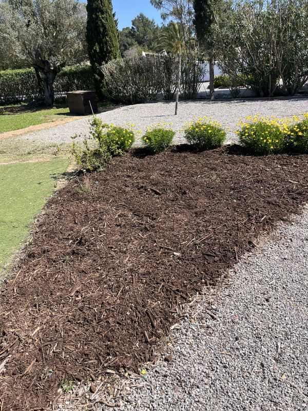 The same flower bed at Cala Bassa freshly mulched