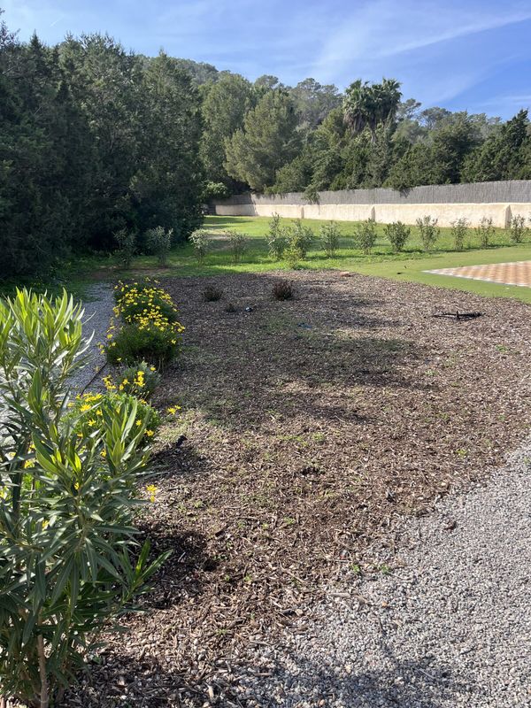 A bare, cracked flower bed at Cala Bassa before mulching