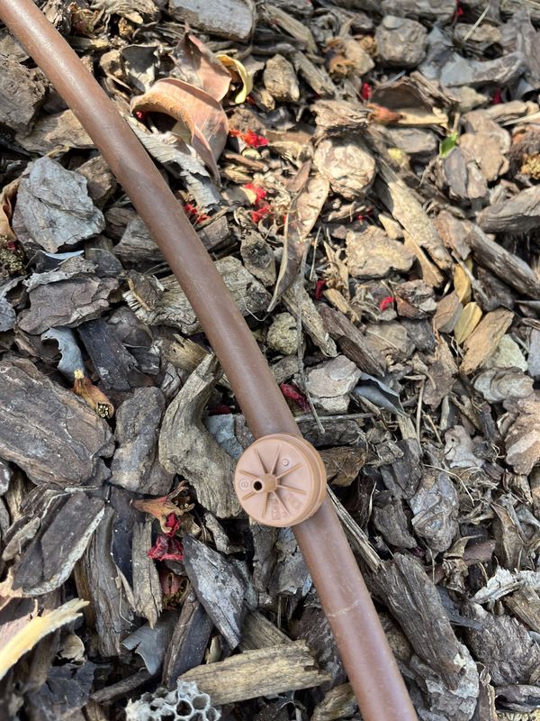 Una línea de riego por goteo tendida bajo un acolchado de astillas de madera