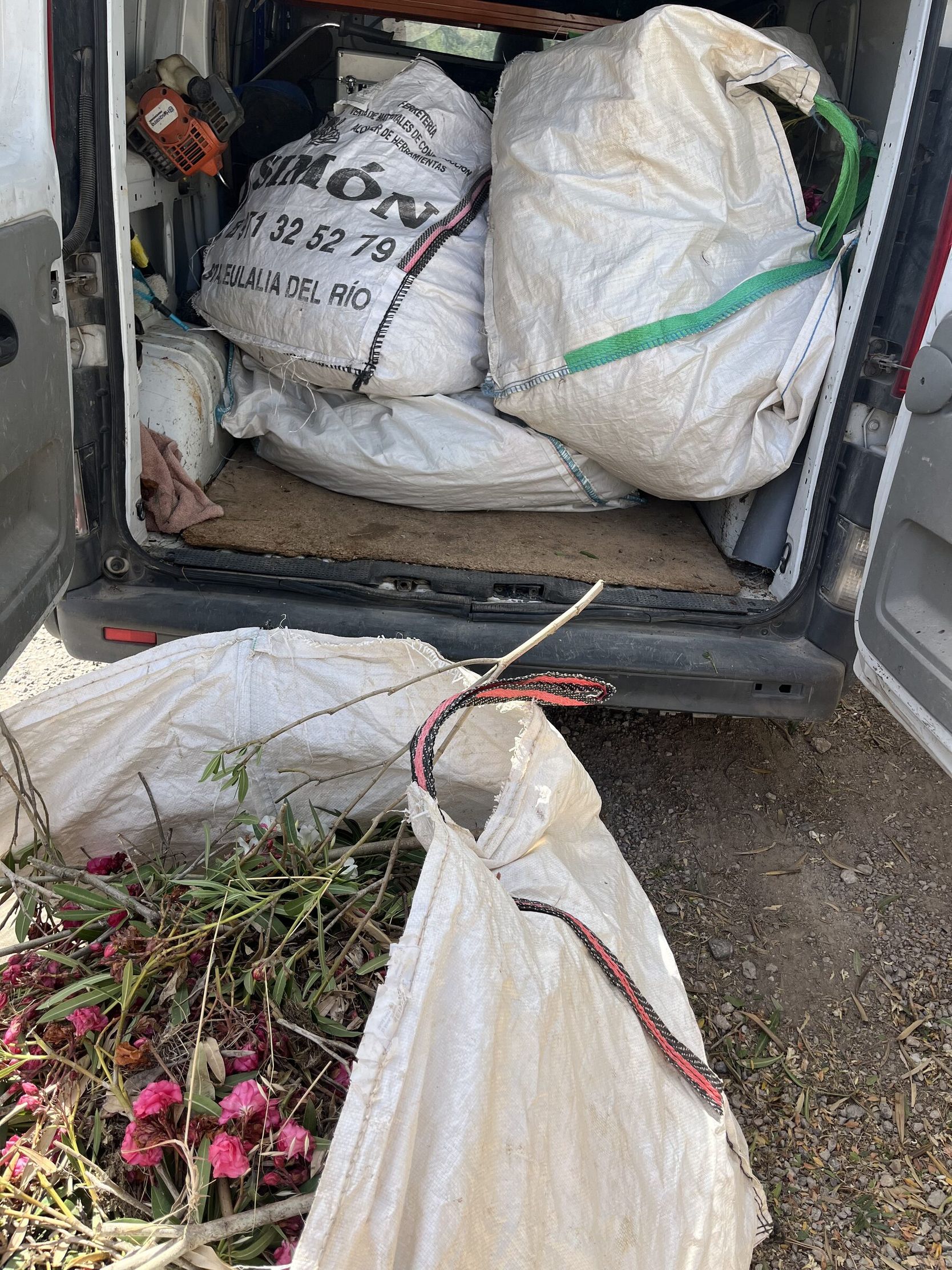 Restos de poda embolsados y cargados en una furgoneta para retirarlos