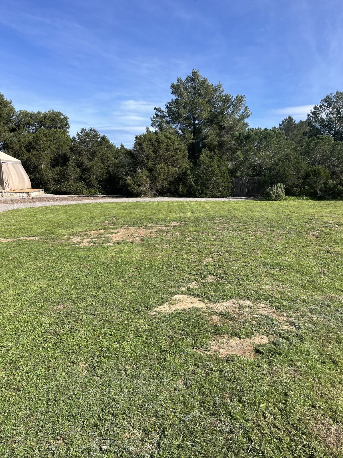 A lawn at Cala Bassa showing dry patches before treatment