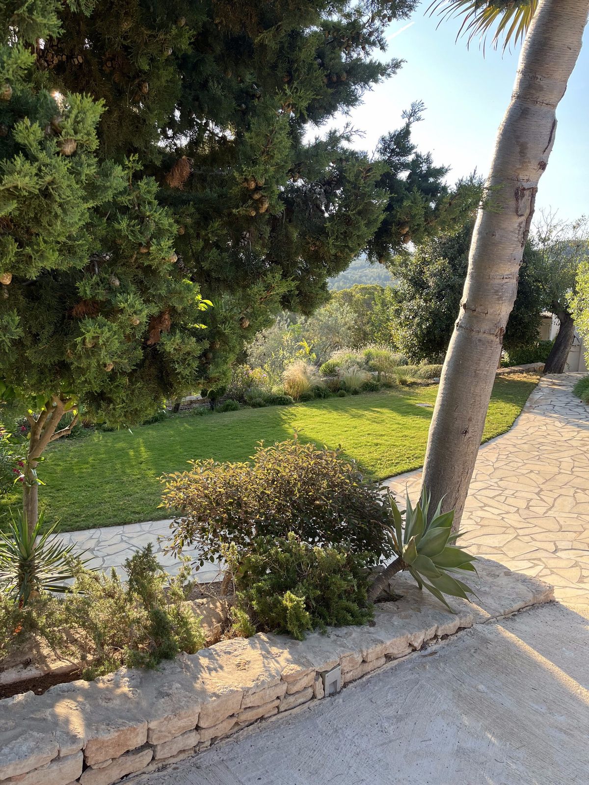 Un camino de losas junto al césped y las palmeras de la villa