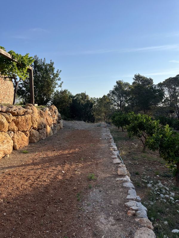 Un camino del huerto con la tierra recién labrada, junto a un muro de piedra