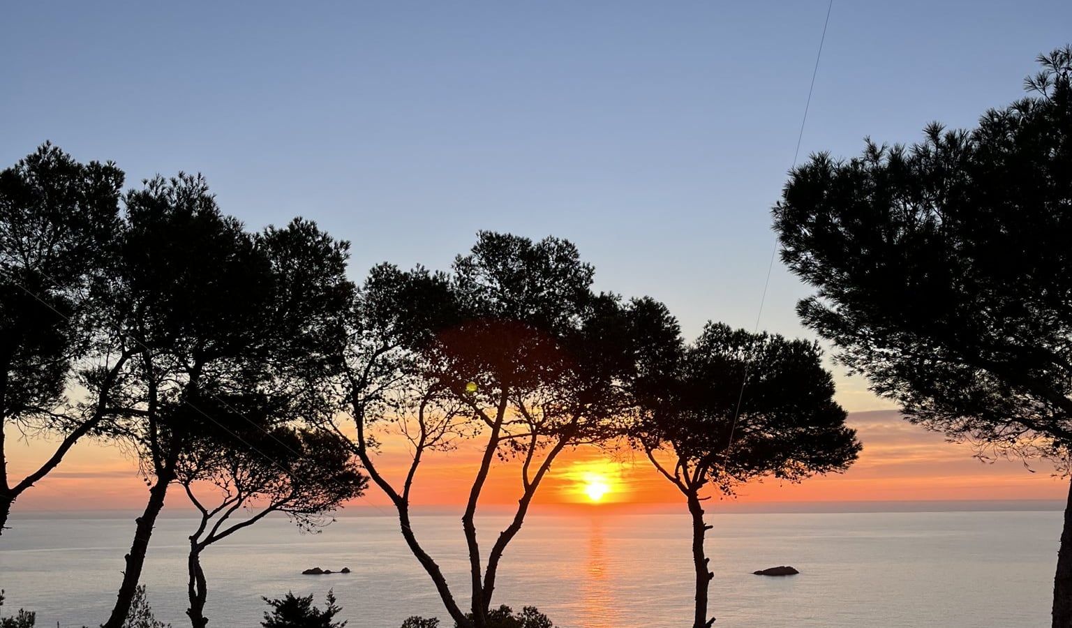 Pinos a contraluz al atardecer sobre el mar, Ibiza