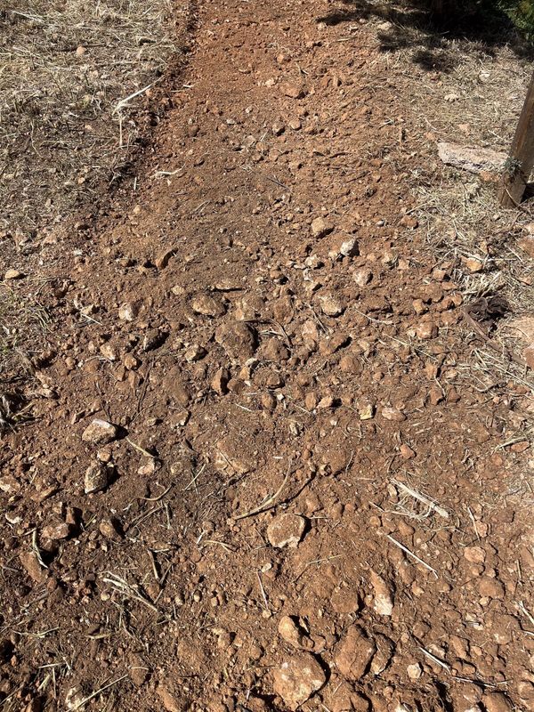 Piedra que el motocultor ha sacado a la superficie en tierra recién trabajada