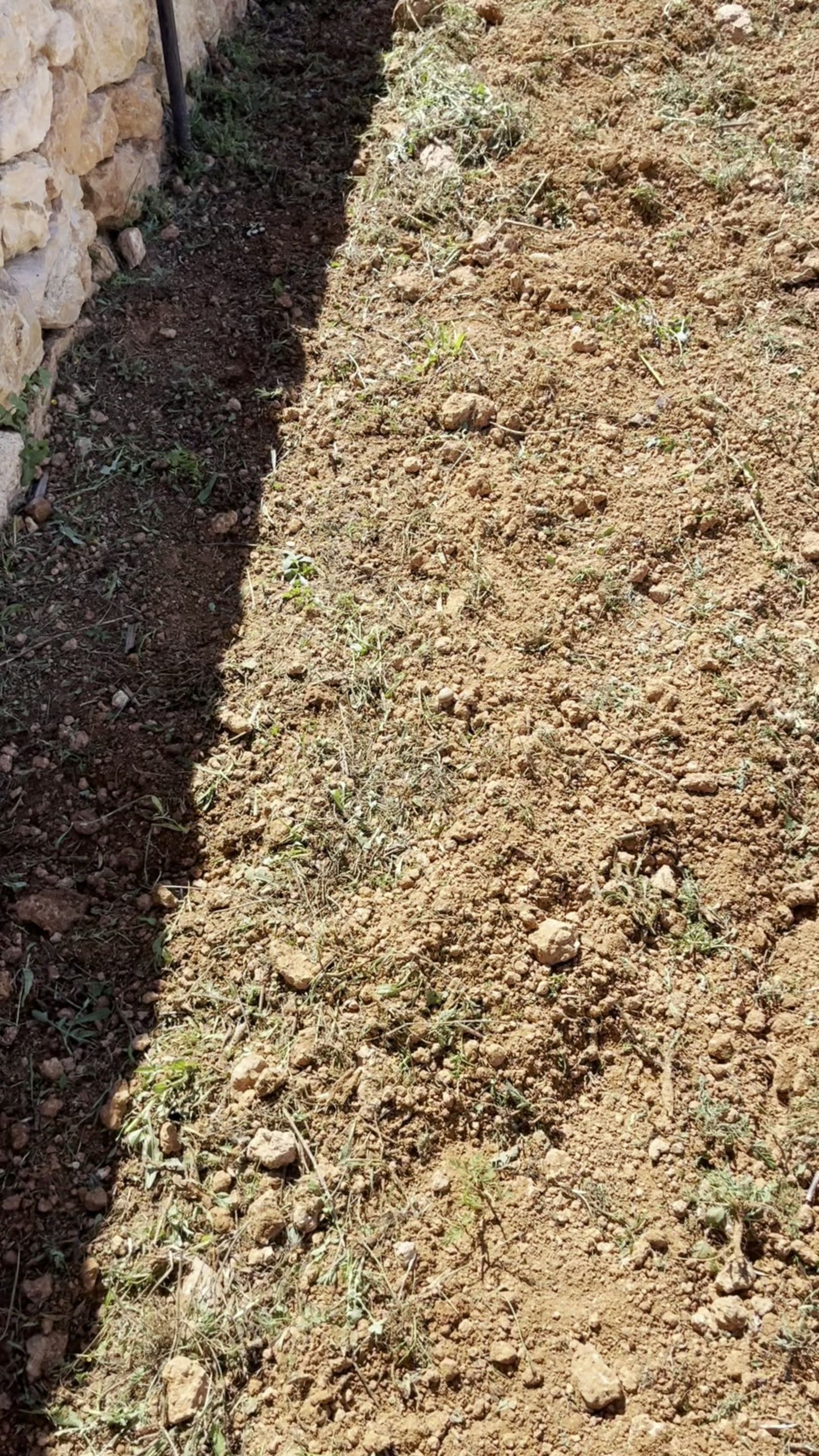 Terreno sin labrar y tierra recién labrada, uno junto al otro en el mismo encuadre