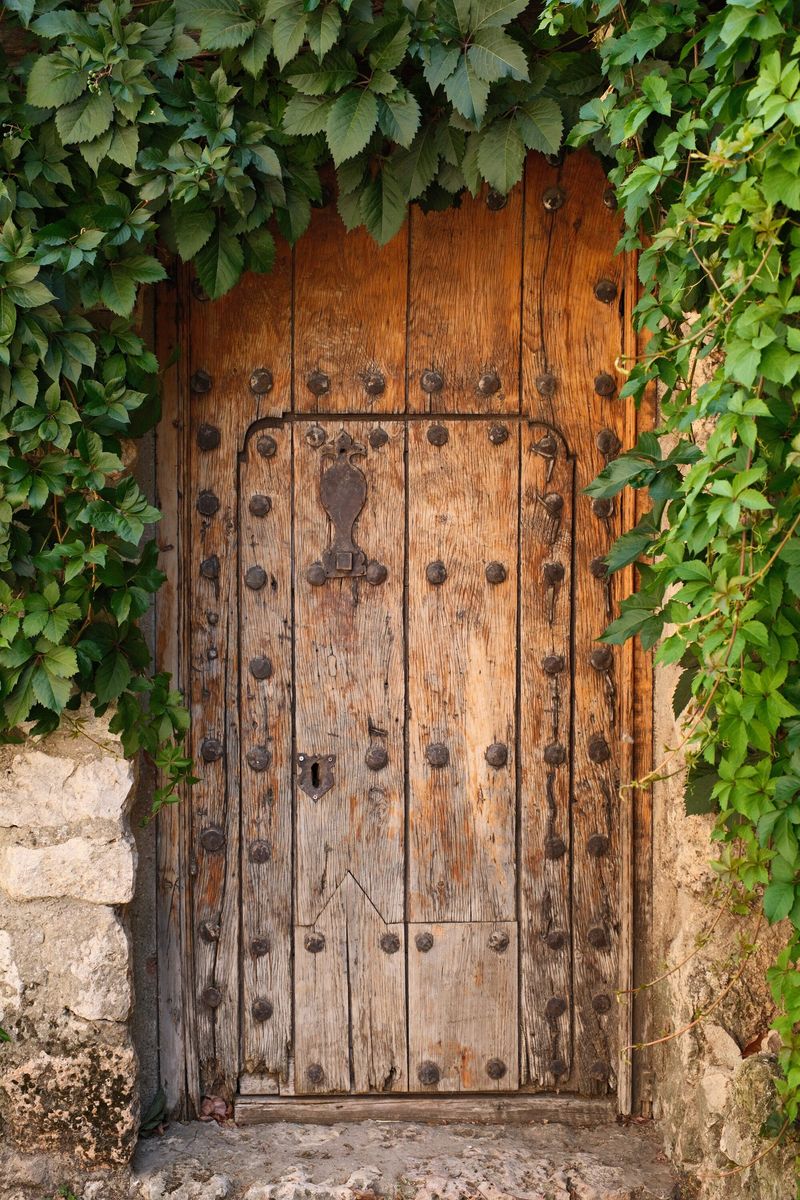 Una puerta de madera envejecida, enmarcada por una enredadera